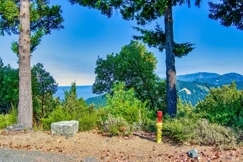 93 Maplehill Ct, Whitethorn, CA 95589