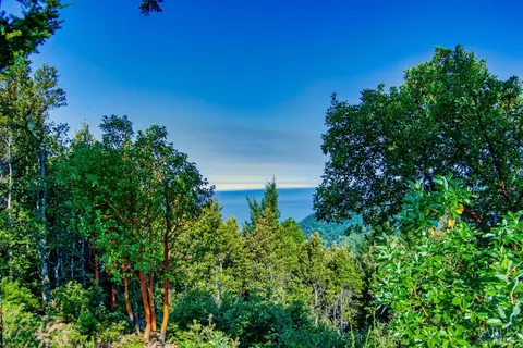 93 Maplehill Ct, Whitethorn, CA 95589 photo 13