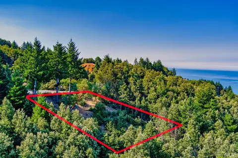 93 Maplehill Ct, Whitethorn, CA 95589 photo 4