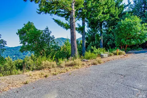 93 Maplehill Ct, Whitethorn, CA 95589 photo 9