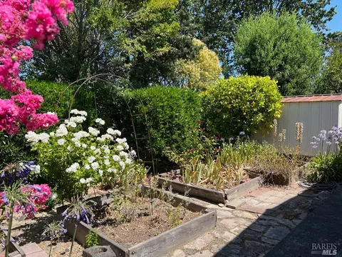 704 Sequoia St, Windsor, CA 95492 photo 24