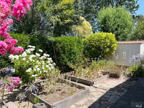 704 Sequoia St, Windsor, CA 95492 photo 4