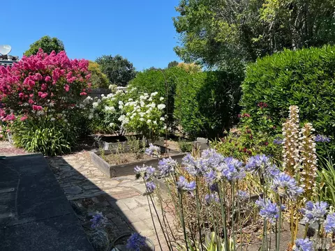 704 Sequoia St, Windsor, CA 95492 photo 22