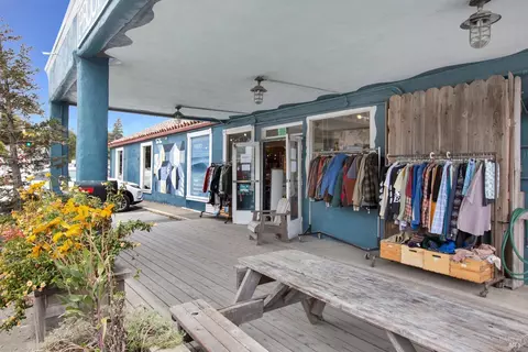 211 Scott St, Mill Valley, CA 94941 photo 29