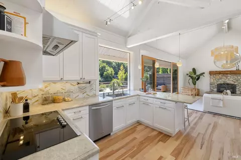 355 County View Dr, Mill Valley, CA 94941 photo 10