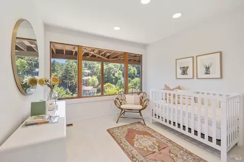 355 County View Dr, Mill Valley, CA 94941 photo 29