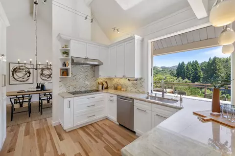 355 County View Dr, Mill Valley, CA 94941 photo 9