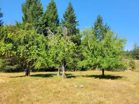 4501 Muir Mill Rd, Willits, CA 95490 photo 52