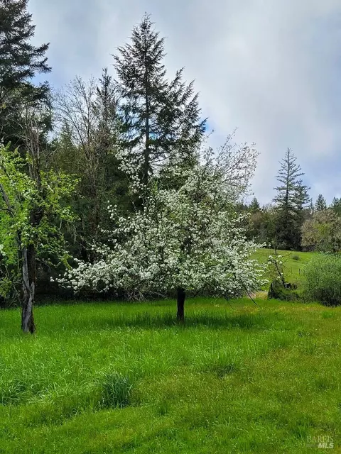 4501 Muir Mill Rd, Willits, CA 95490 photo 73
