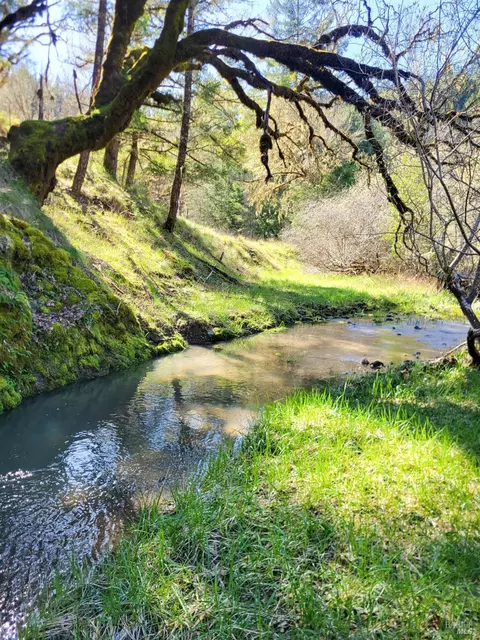 4501 Muir Mill Rd, Willits, CA 95490 photo 42