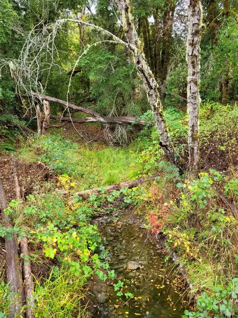 4501 Muir Mill Rd, Willits, CA 95490 photo 32