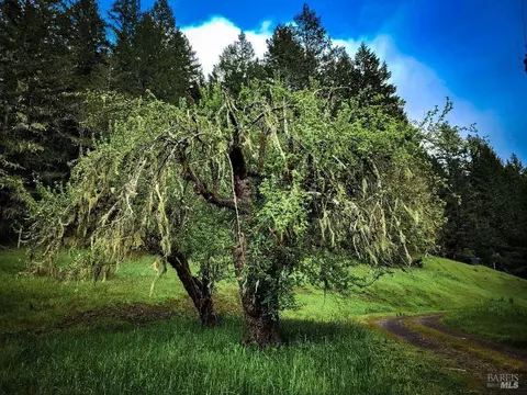4501 Muir Mill Rd, Willits, CA 95490 photo 76