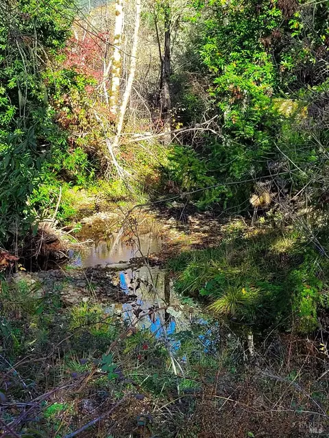 4501 Muir Mill Rd, Willits, CA 95490 photo 7