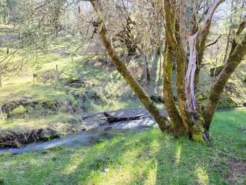 4501 Muir Mill Rd, Willits, CA 95490 photo 43