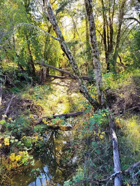 4501 Muir Mill Rd, Willits, CA 95490 photo 8