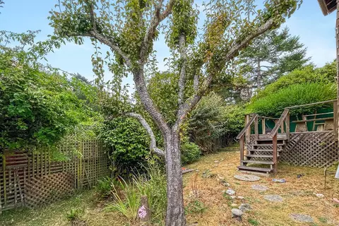 5 Cameron St, Inverness, CA 94937 photo 57