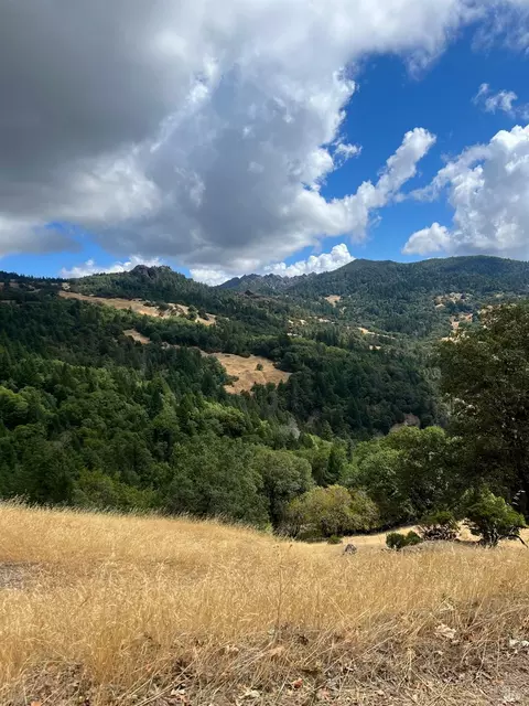 2631 Bunim Rd, Laytonville, CA 95454