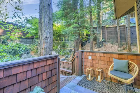 50 Washington Park Ave, Mill Valley, CA 94941 photo 56