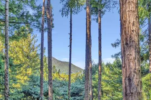 50 Washington Park Ave, Mill Valley, CA 94941 photo 3