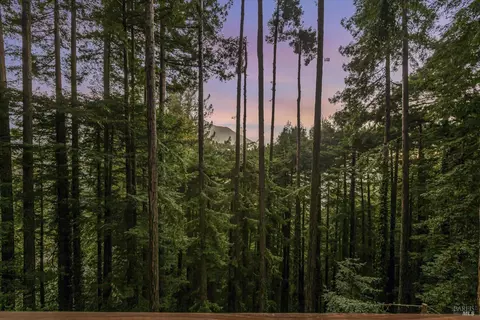 50 Washington Park Ave, Mill Valley, CA 94941 photo 50