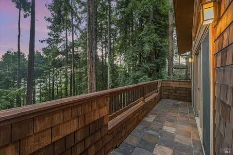 50 Washington Park Ave, Mill Valley, CA 94941 photo 49