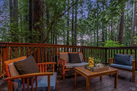 50 Washington Park Ave, Mill Valley, CA 94941 photo 51
