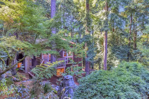 50 Washington Park Ave, Mill Valley, CA 94941 photo 8