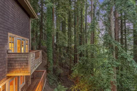 50 Washington Park Ave, Mill Valley, CA 94941 photo 42