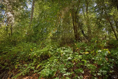 1260 Camp Meeker Rd, Occidental, CA 95465 photo 2