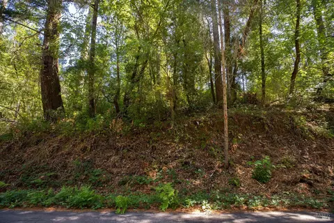 1260 Camp Meeker Rd, Occidental, CA 95465 photo 6