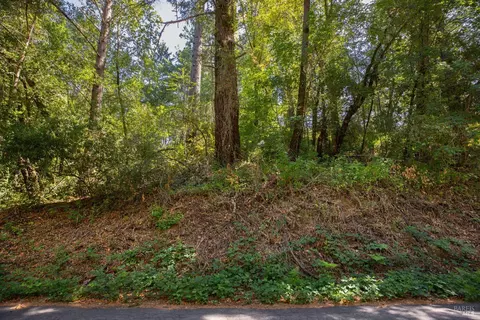 1260 Camp Meeker Rd, Occidental, CA 95465 photo 7