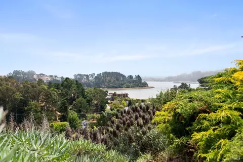 16 Milland Ct, Mill Valley, CA 94941 photo 21