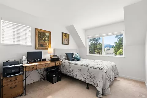 16 Milland Ct, Mill Valley, CA 94941 photo 26