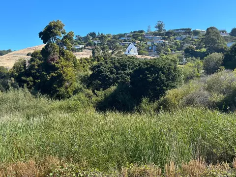 9 Marsh Rd, Tiburon, CA 94920 photo 17