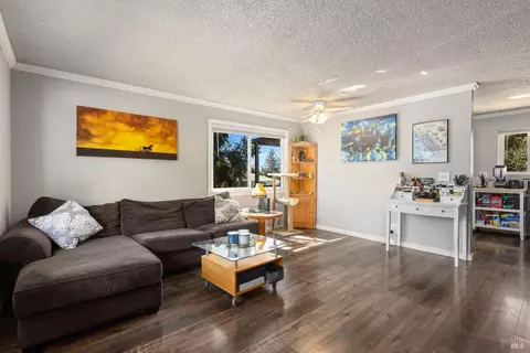 3620 Lakeview Dr, Nice, CA 95464 photo 8