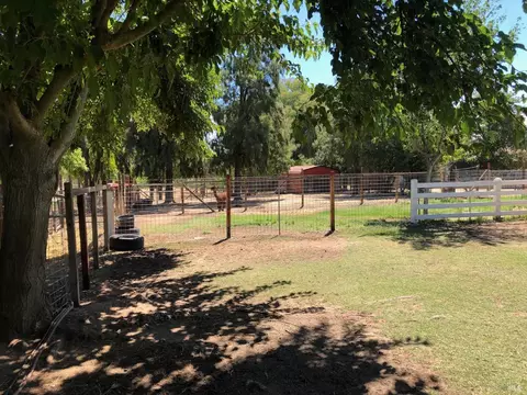Exterior - 7452 Clement Rd, Vacaville, CA 95688 photo 40 of 41