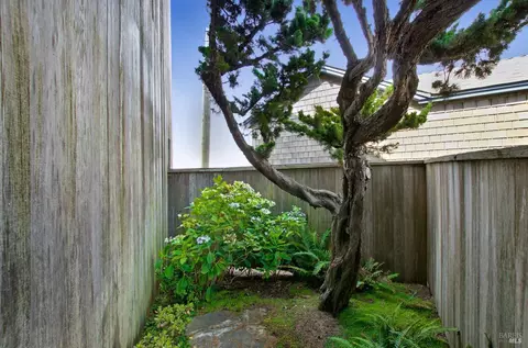 7045 Cliff Ave, Bodega Bay, CA 94923 photo 37