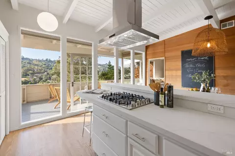 85 Shelley Dr, Mill Valley, CA 94941 photo 13