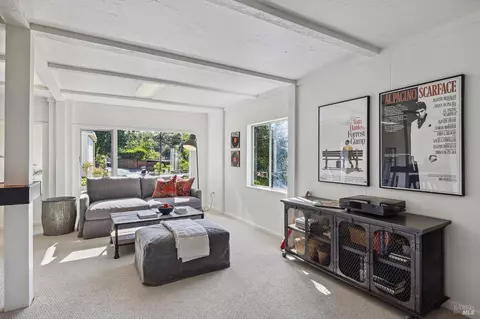85 Shelley Dr, Mill Valley, CA 94941 photo 45