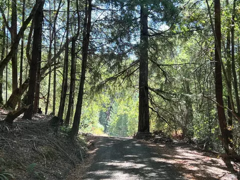 38900 Upper Rd, Willits, CA 95490 photo 30