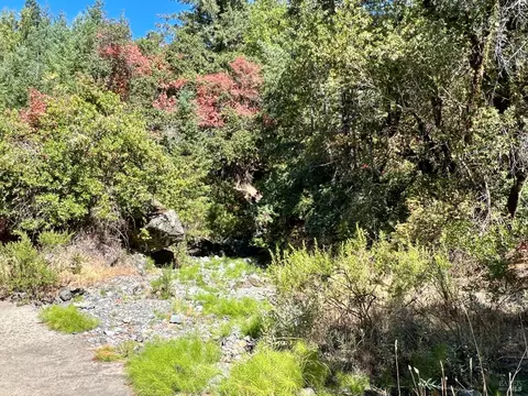 38900 Upper Rd, Willits, CA 95490 photo 32