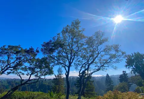 144 Hillside Ave, Mill Valley, CA 94941 photo 23