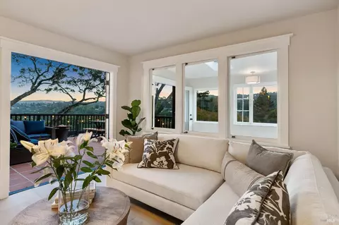 144 Hillside Ave, Mill Valley, CA 94941 photo 62