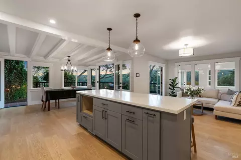 144 Hillside Ave, Mill Valley, CA 94941 photo 61