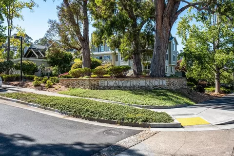 75 Eucalyptus Knoll St, Mill Valley, CA 94941