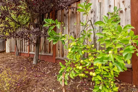 426 Troon Dr, Napa, CA 94558 photo 51