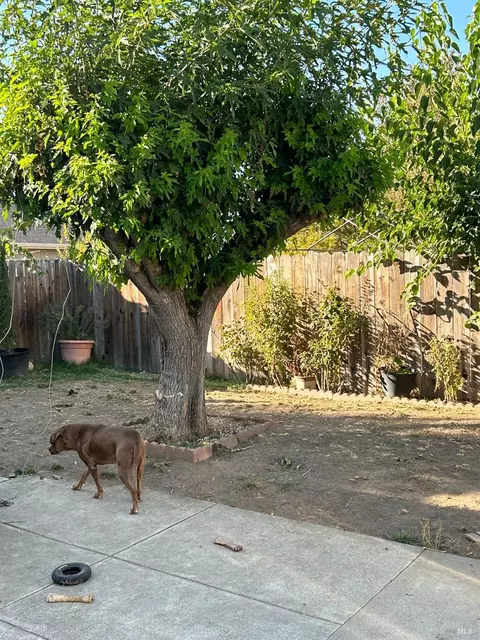 907 2nd St, Fairfield, CA 94533 photo 25