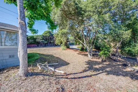 50 Birch St, Mill Valley, CA 94941 photo 25