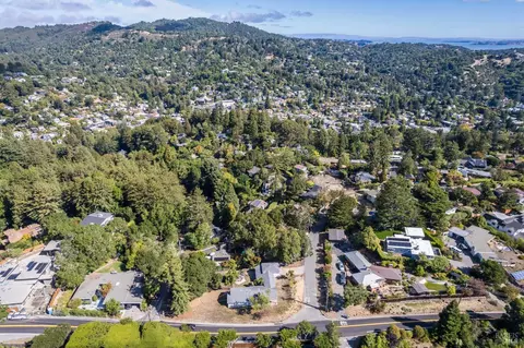 50 Birch St, Mill Valley, CA 94941 photo 17