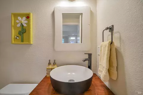 1290 Pedroncelli Dr, Windsor, CA 95492 photo 45